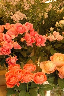 e0130779_17113167.jpg