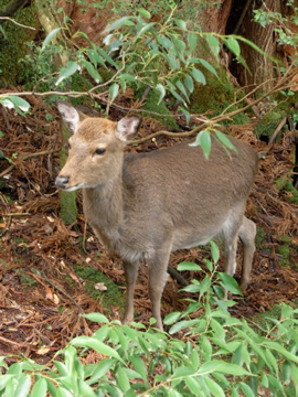 f0045982_23324436.jpg