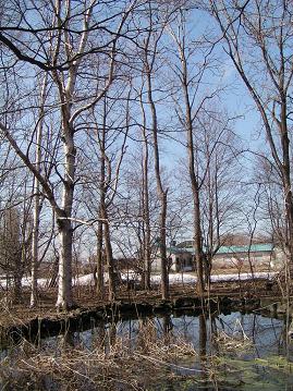 f0078286_981346.jpg