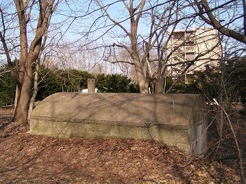 f0078286_994535.jpg