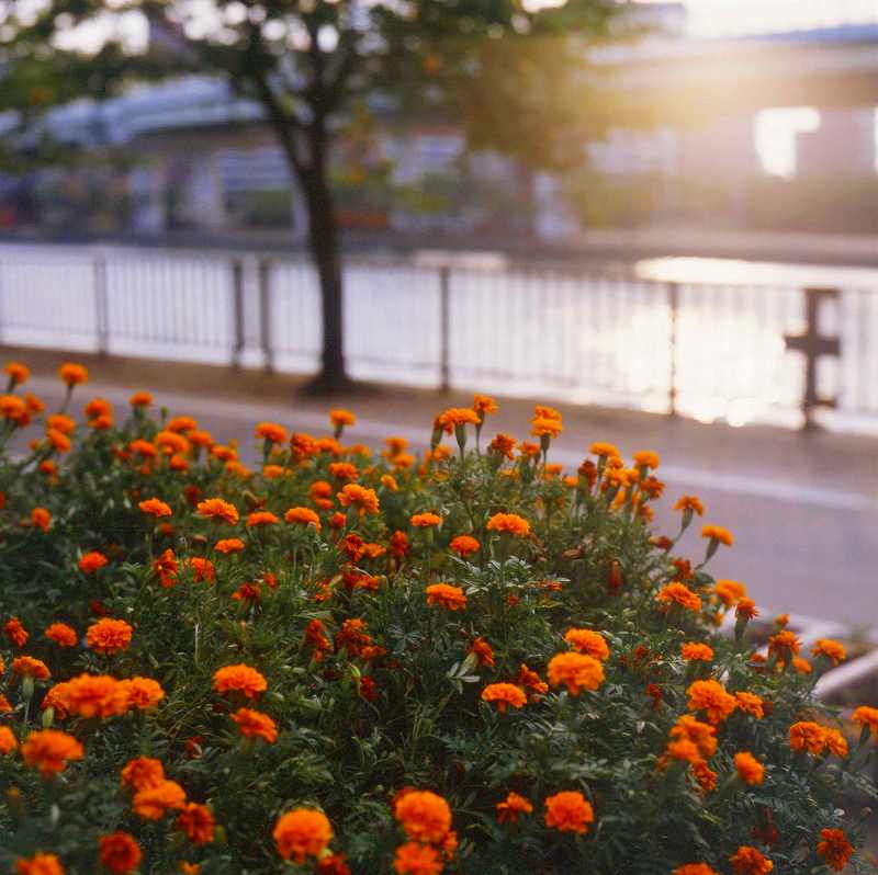 c0160387_8272360.jpg
