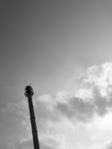 e0148989_32342.jpg