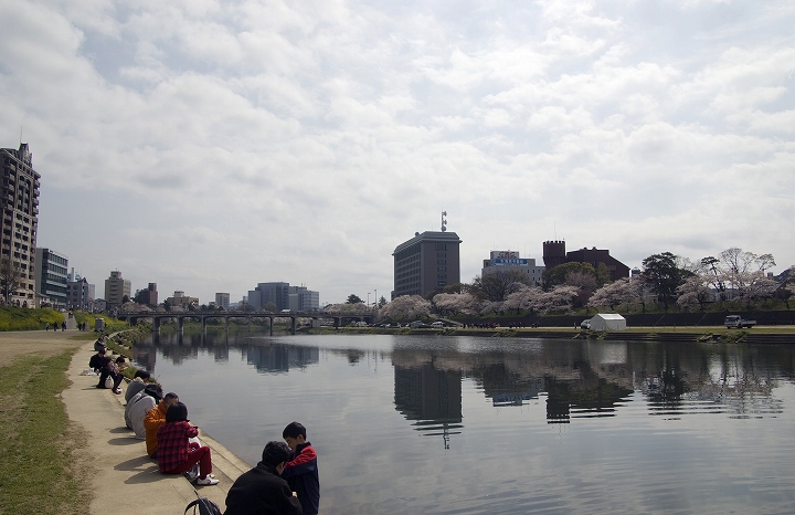 4月4日愛知 岡崎公園にて2_f0125990_1813936.jpg