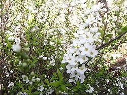 f0100194_6131813.jpg