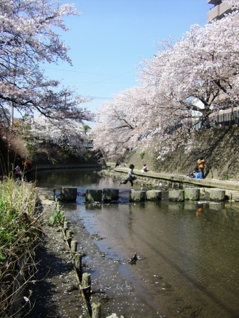 a0159795_091345.jpg