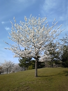 f0017897_22405696.jpg