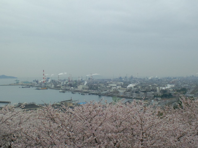 さくら日帰りドライブ☆その１　大竹～錦帯橋_e0190698_21182433.jpg