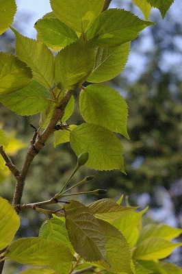 c0172101_8475025.jpg