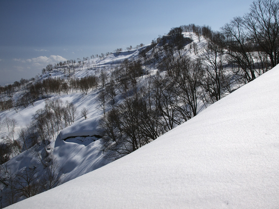 分監山から本監山？　　2010.4.4_f0200402_18142531.jpg