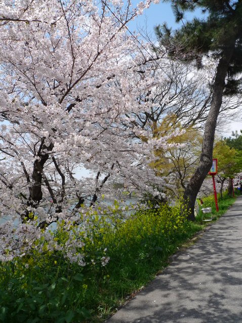 c0205205_0241913.jpg
