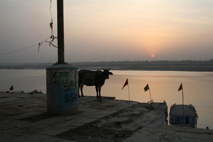 インド 笑うヨガ体操_e0023512_2123757.jpg