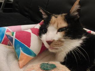 c0201113_22152745.jpg