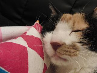 c0201113_22161021.jpg