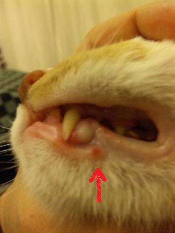 c0201113_22334285.jpg