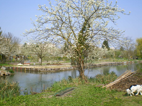 c0124619_5154172.jpg
