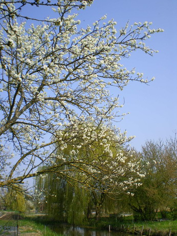 c0124619_5244140.jpg