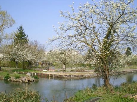 c0124619_5253145.jpg