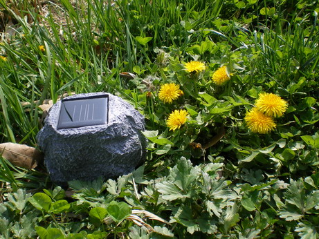 c0124619_5283829.jpg