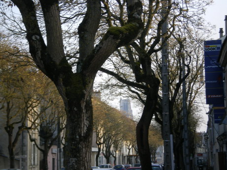 c0124619_540778.jpg