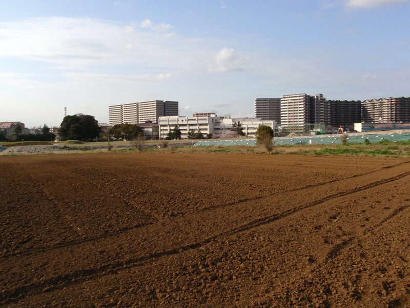 a0001020_22475478.jpg