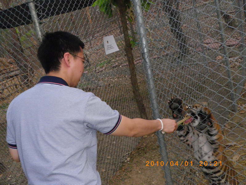 タイ旅行～チェンマイ編１～_b0121425_0261547.jpg