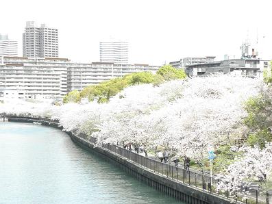 c0201427_1505459.jpg
