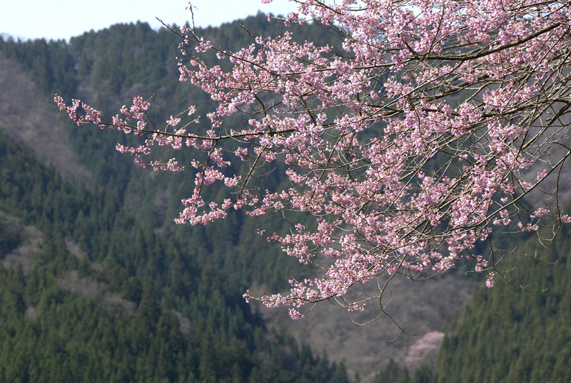 みどり湖　（豊根村）_f0060531_17471027.jpg