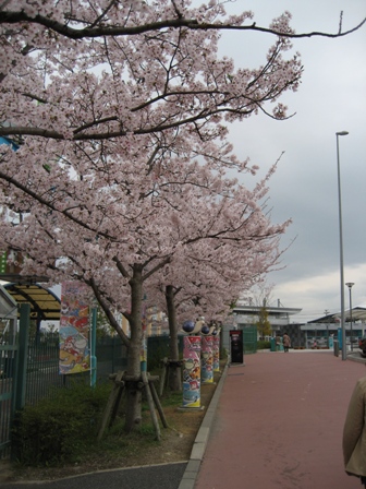f0051638_220736.jpg