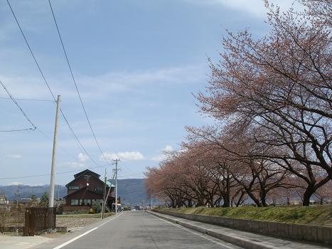 a0014840_2215881.jpg