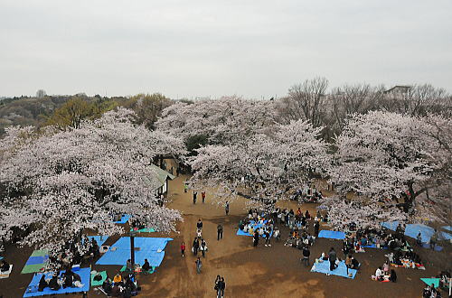 f0094843_18107.jpg