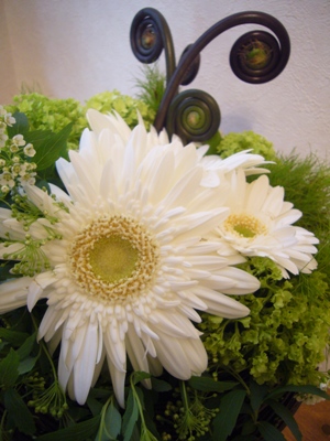 e0100046_1726944.jpg