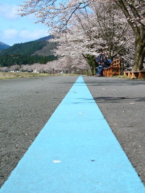 焼き鳥と「朽木鯖街道　さくら祭り」_d0005250_2025350.jpg