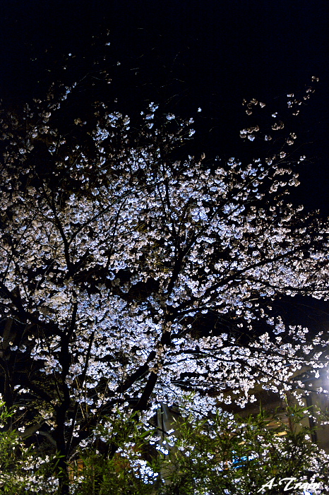 f0152550_22514633.jpg