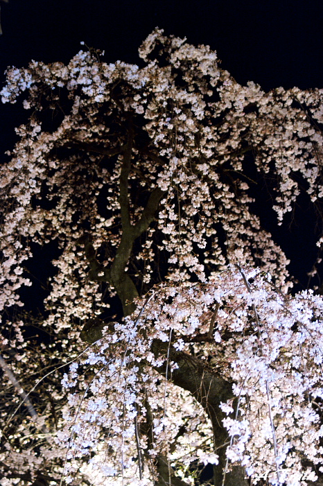 f0152550_2251867.jpg