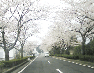 f0229250_22135430.gif