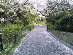 f0229250_2215598.gif