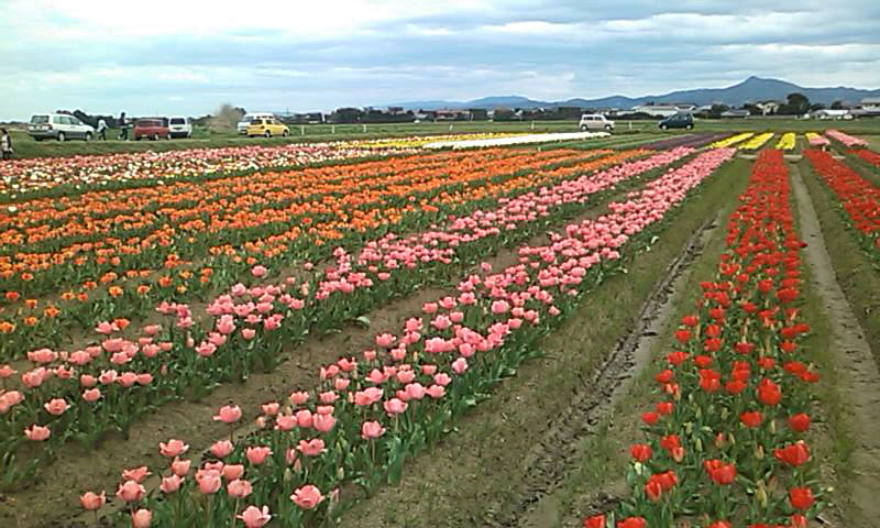 b0093361_2125030.jpg