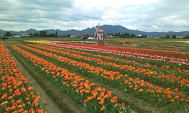 b0093361_212507.jpg