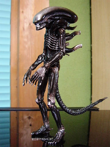 Amazon.co.jp: mpc ALIEN エイリアンプラモデル 付き EGN : おもちゃ