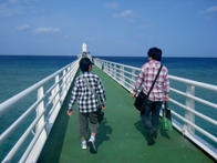 d0104465_1712505.jpg