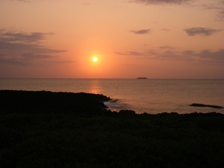 d0104465_17444331.jpg