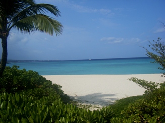 d0104465_1792998.jpg