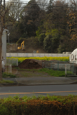 桜は散ってしまったけれど_b0173176_16373580.gif