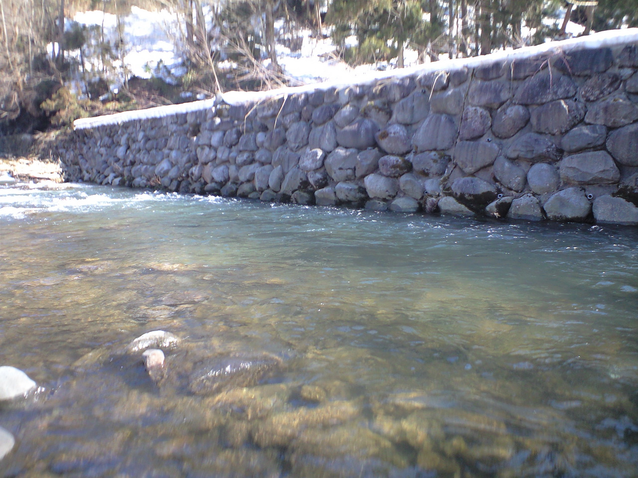 峠川C&R区間　釣行記　2010.04.08_a0093677_17235.jpg