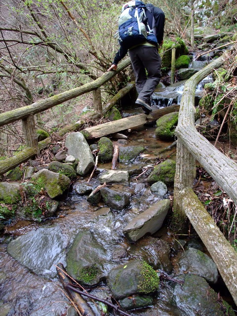 箱根　湯坂路（鷹巣山・浅間山）　その②_a0043982_1524594.jpg