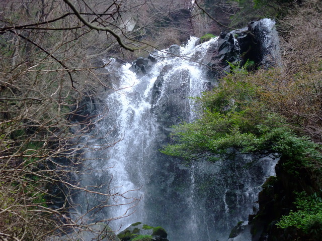 箱根　湯坂路（鷹巣山・浅間山）　その②_a0043982_153880.jpg