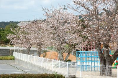 2010/04/10  御荘新四国(3/3) ～前からの続き～_f0167183_1617286.jpg