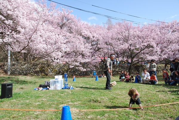 高遠城址公園の桜2010_a0032888_2130405.jpg