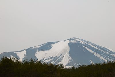 おひるやすみ。_d0028589_1321334.jpg
