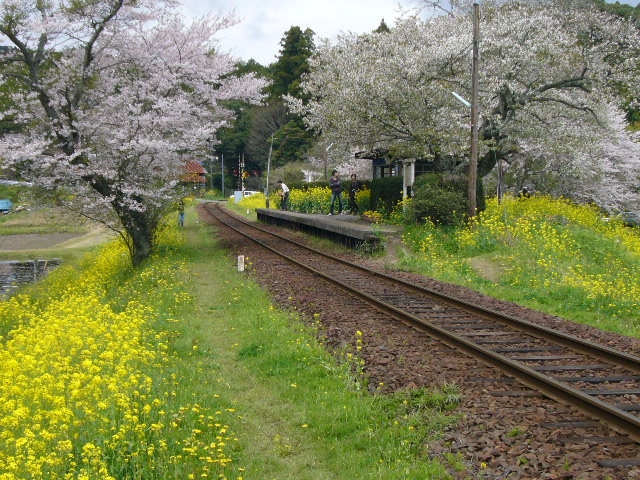 ローカルな春…_d0147789_1940464.jpg